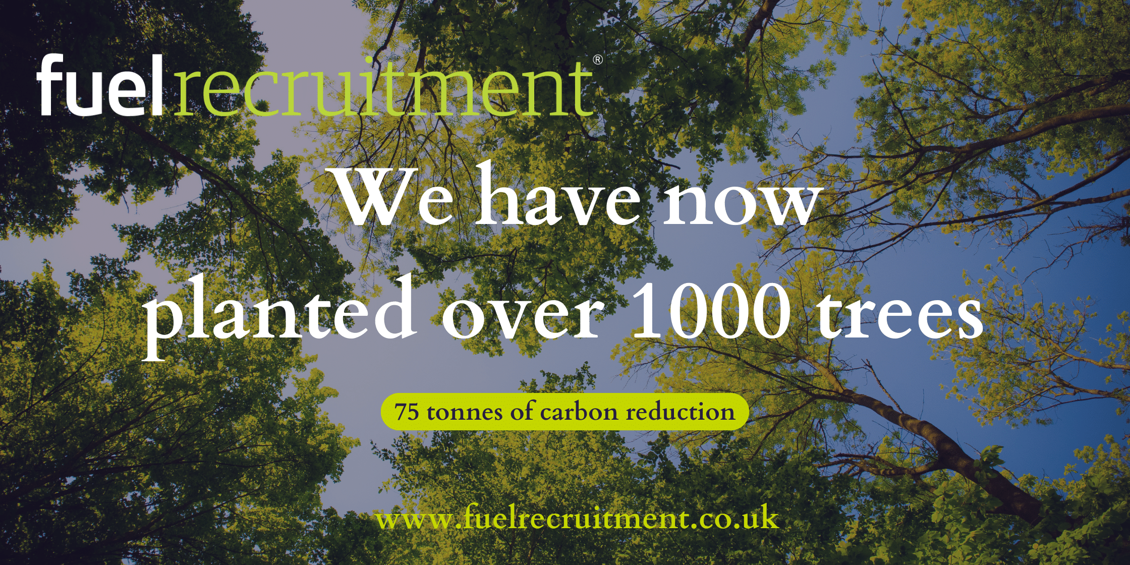 MISC Website Blog Banner