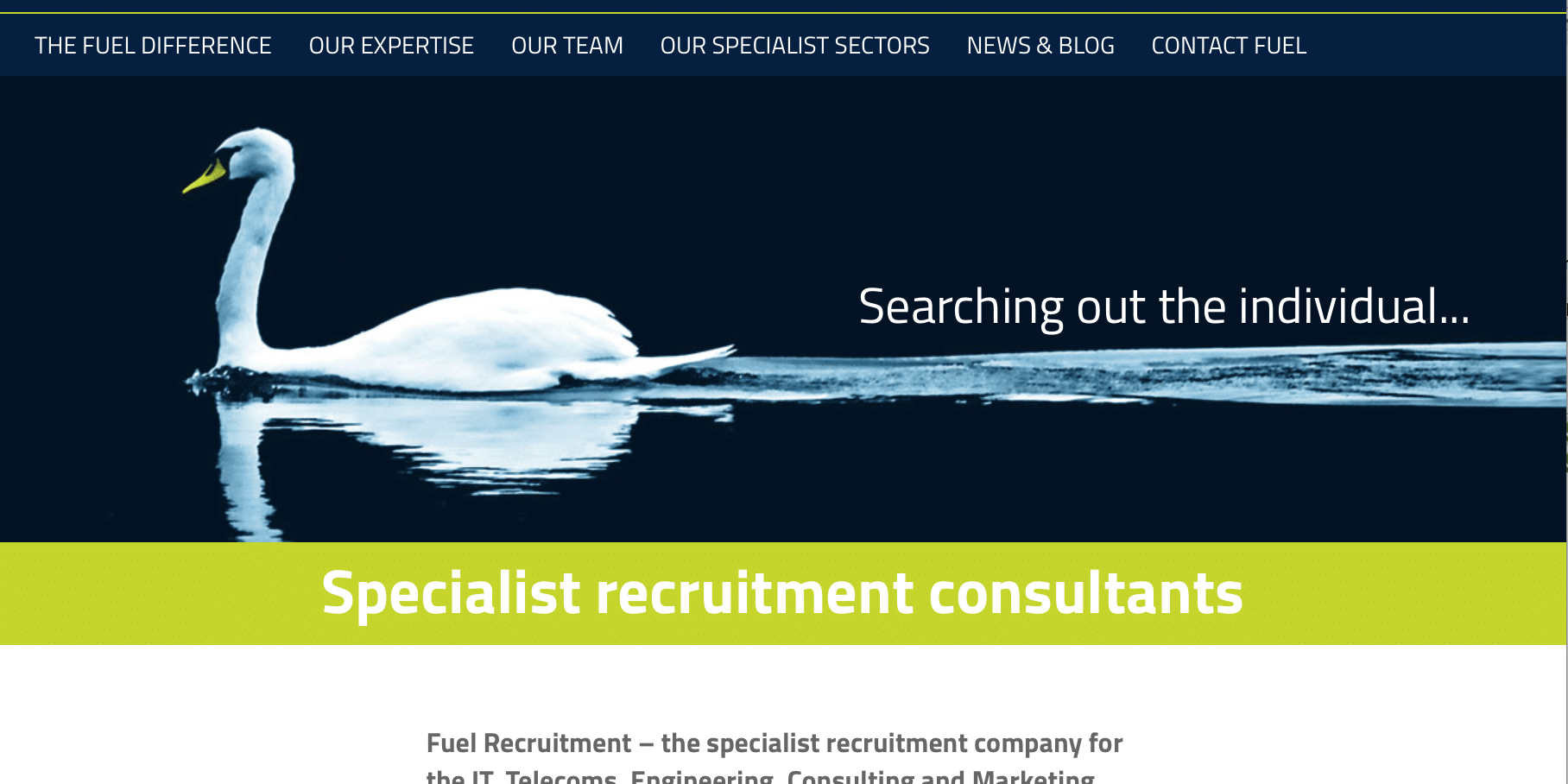 screen shot of website