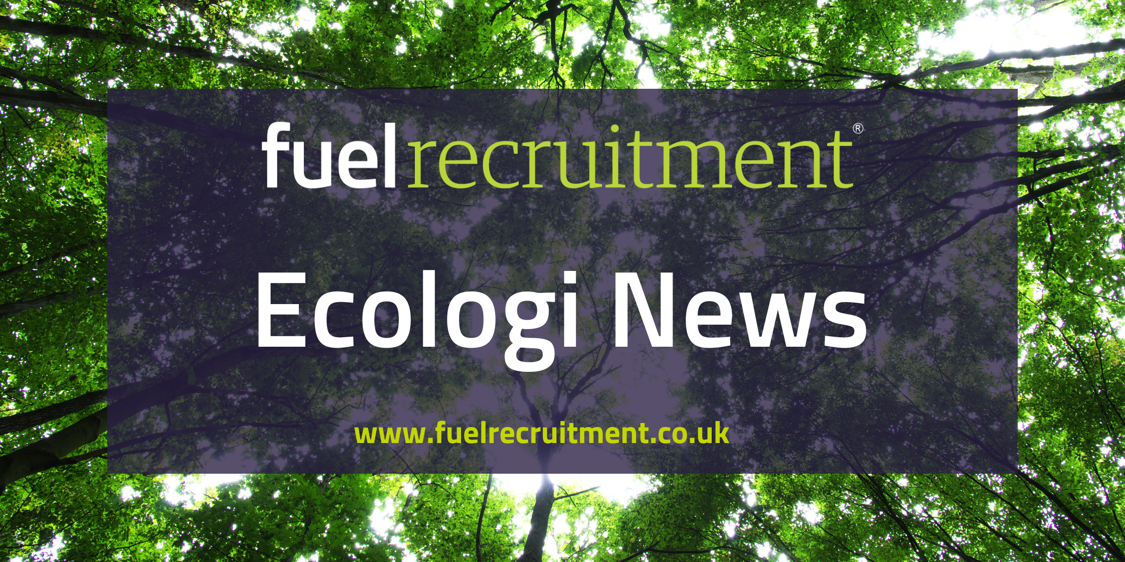 Website Blog Banner (1)